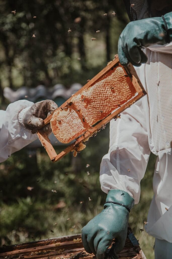 Mānuka honey Honeycomb 